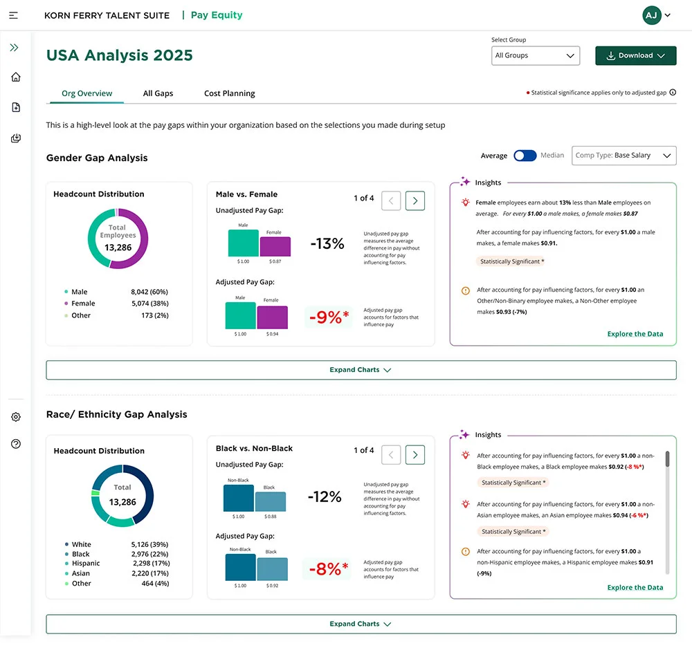 screenshot of pay equity product