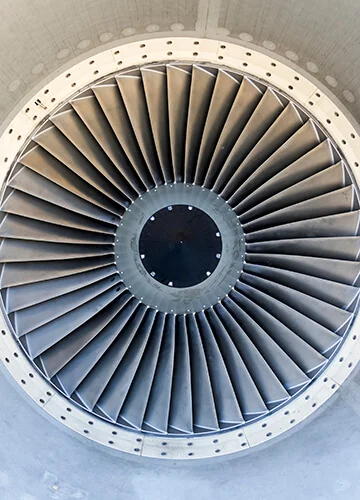 The little airline that could