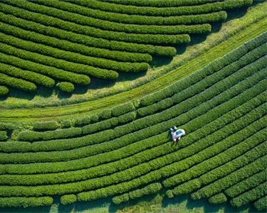 Fixing the talent gap to deliver on ESG goals