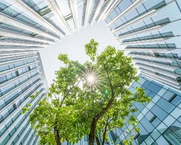 Board and investors talk ESG: Views on governance