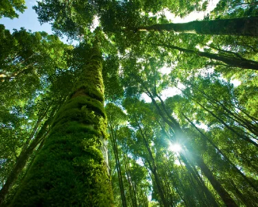 How the World's Most Admired Companies prioritize ESG