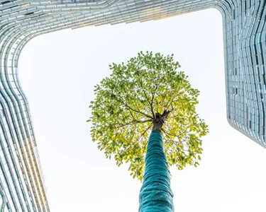 Kickstart Your Corporate Sustainability Initiatives—On a Budget