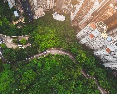 What is an ESG strategy?  And what is sustainability?