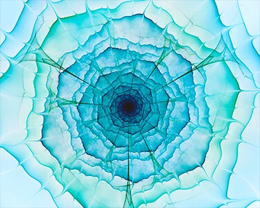 BioTen video series: Diversity, equity & inclusion