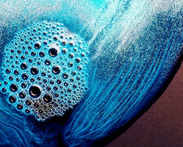 BioTen video series: Organization & job design