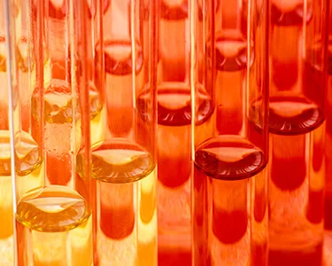 BioTen video series: Professional search