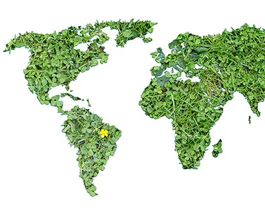 An Unexpected Twist in the Green Movement