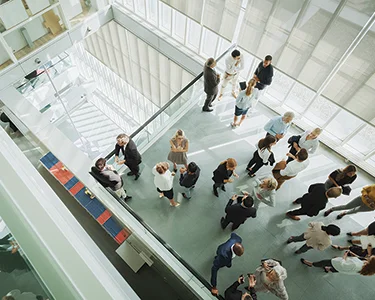 Ambassador of Diversity