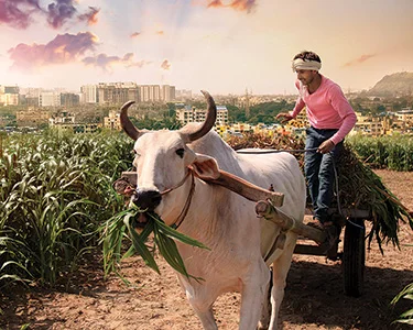 In India, a Call to Return