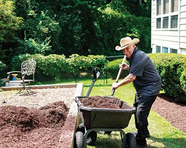 Transitioning Seasons