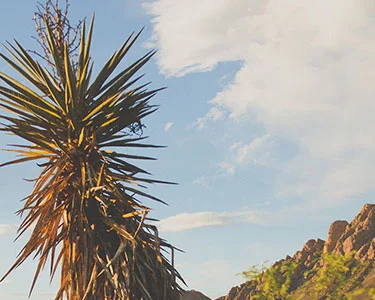 Visit: Las Cruces, New Mexico