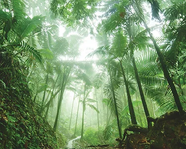 San Juan, Puerto Rico