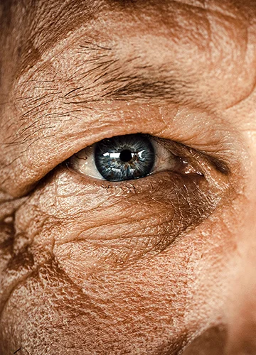 The Cost of Doing Business