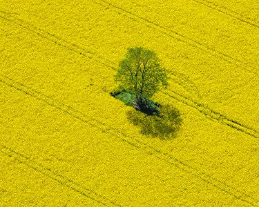 3 ways to build resilience in the face of climate change