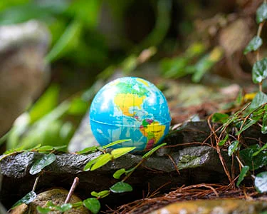 Earth Day 2022: A More Difficult Decision