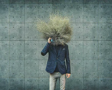 Essentials: The C-Suite—and Manager—Squeeze 