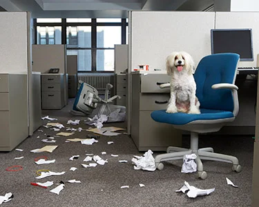 Will Office Returnees 'Behave'?