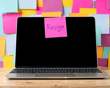 Who Needs Another Job Offer? I’m Quitting Anyway!