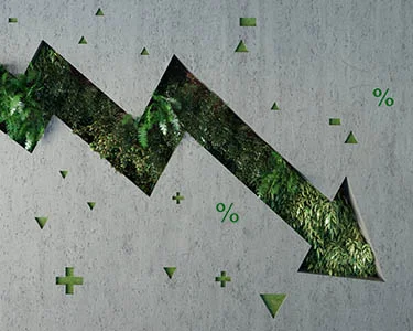 Sustainable Investing: No Longer Sustainable?