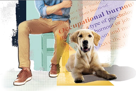 When We Hit the Wall