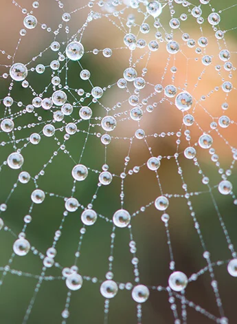 Networking Your "6 Degrees of Separation