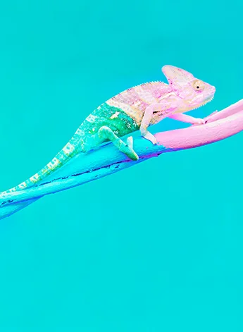 Train Your Brain for Change